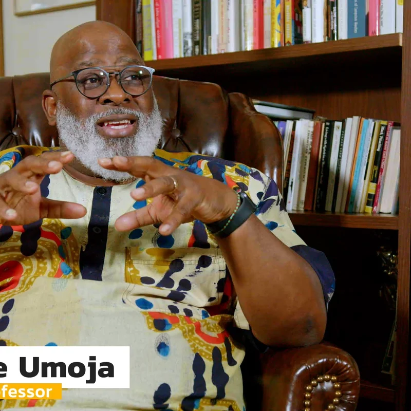 Akinyele Umoja, Professor and historian